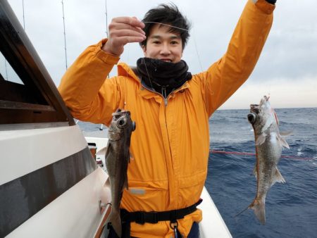 ブルーピア 釣果