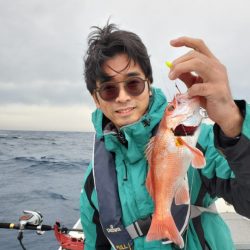 ブルーピア 釣果