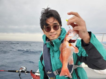 ブルーピア 釣果