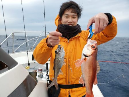 ブルーピア 釣果