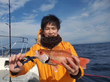 ブルーピア 釣果