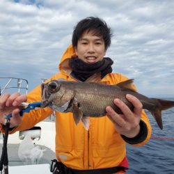 ブルーピア 釣果