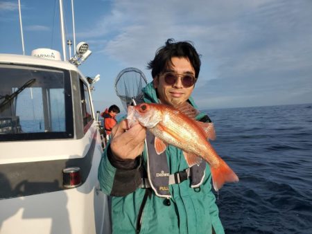 ブルーピア 釣果