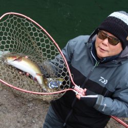 小菅トラウトガーデン 釣果