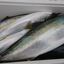 海龍丸（福岡） 釣果