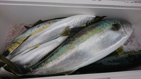 海龍丸（福岡） 釣果