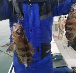 内浜丸 釣果