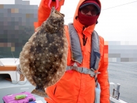 遊漁船 幸友丸 釣果