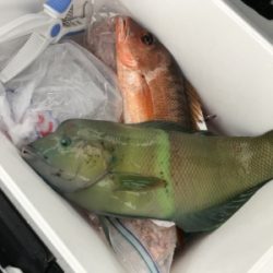 本部釣りイカダ 釣果