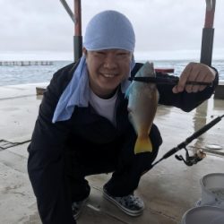 本部釣りイカダ 釣果