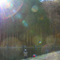 小菅トラウトガーデン 釣果