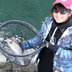 小菅トラウトガーデン 釣果