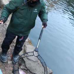 小菅トラウトガーデン 釣果