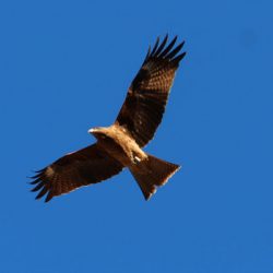 小菅トラウトガーデン 釣果