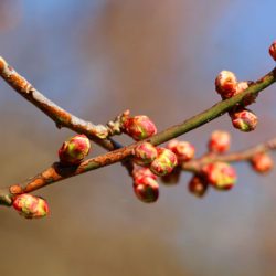 小菅トラウトガーデン 釣果