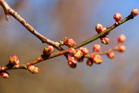 小菅トラウトガーデン 釣果