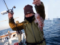 遊漁船 幸友丸 釣果