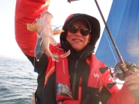 遊漁船 幸友丸 釣果