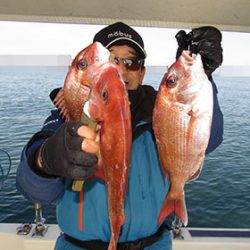 松本釣船２ 釣果