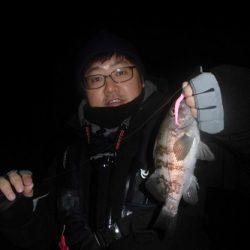 ルアー船マヒマヒ 釣果