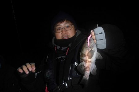 ルアー船マヒマヒ 釣果