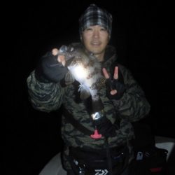 ルアー船マヒマヒ 釣果