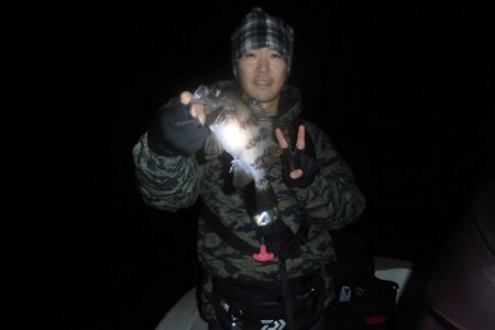 ルアー船マヒマヒ 釣果