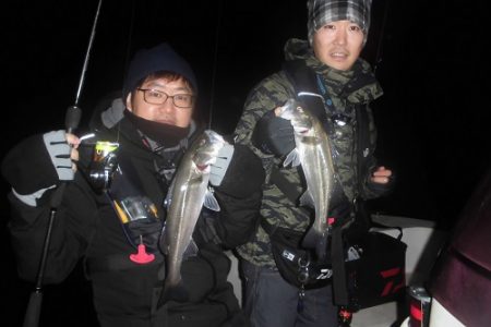 ルアー船マヒマヒ 釣果