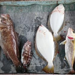 明神釣船 釣果