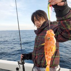 ブルーピア 釣果