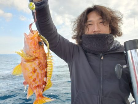 ブルーピア 釣果