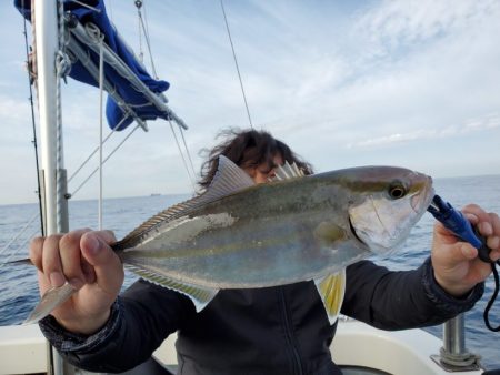 ブルーピア 釣果