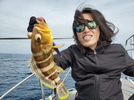 ブルーピア 釣果