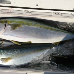 海龍丸(福岡) 釣果