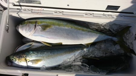 海龍丸(福岡) 釣果