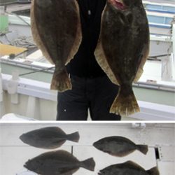 来温丸(らいおんまる) 釣果