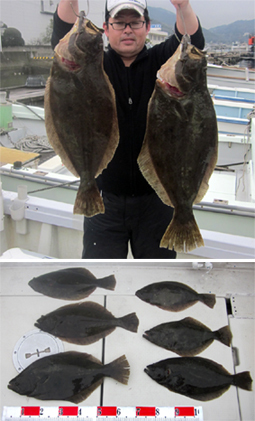 来温丸（らいおんまる） 釣果