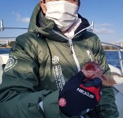 内浜丸 釣果