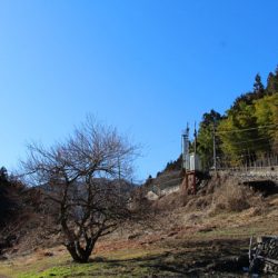 小菅トラウトガーデン 釣果