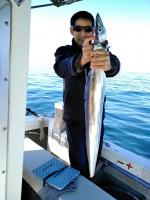 おおせき丸 釣果