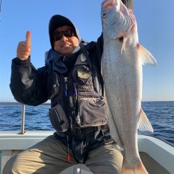 マタウマリンサービス 釣果