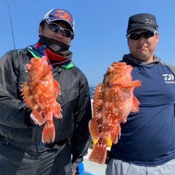 マタウマリンサービス 釣果