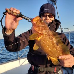 ブルーピア 釣果