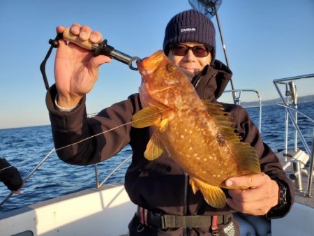 ブルーピア 釣果