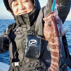 ブルーピア 釣果