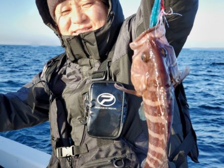 ブルーピア 釣果