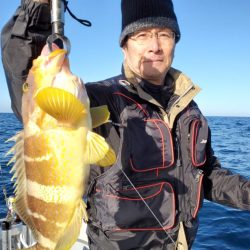 ブルーピア 釣果