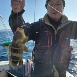 ブルーピア 釣果