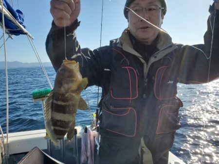 ブルーピア 釣果