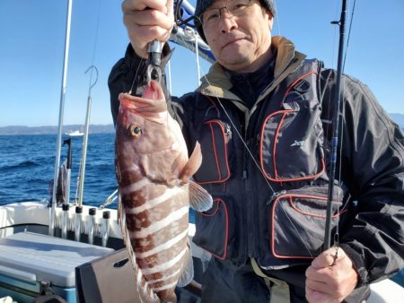 ブルーピア 釣果